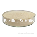 Bacillus subtilis agua soluble 400CFU/g para aditivo de alimentación